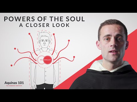 Powers of the Soul: A Closer Look (Aquinas 101)