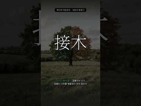 요즘 유독 마음이 흔들린다면 | 대운의 환절기