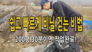 쉽고 빠르게 비닐 걷기 비닐 벗기기 정리 치우기 비법 / 200평 30분이면 끝!