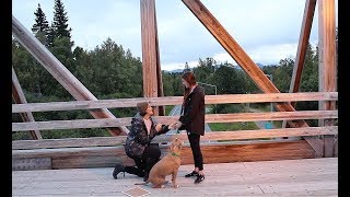 Semler // "Don't Grow Up Too Fast" // Official Video