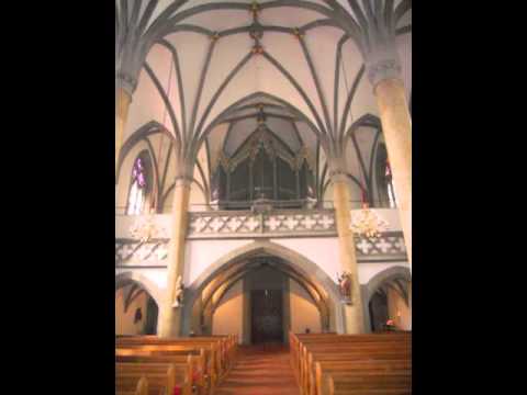 Thomas Nipp: Te Deum played in Vaduz cathedral