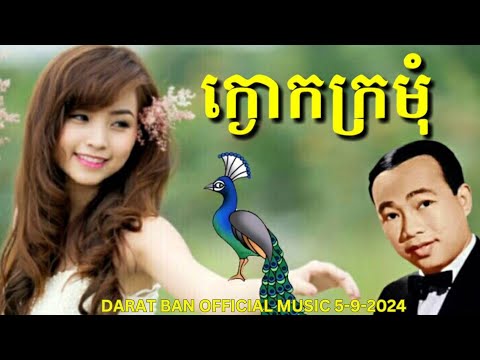 563ក្ងោកក្រមុំ Kangok Kromom khmer karaoke songs  #ស៊ិនស៊ីសាមុត #oldsong   #khmerkaraoke