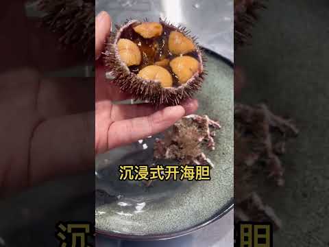 Immersive way to open sea urchin, if you don't know how, look here! #马屎海胆 #海的礼品 #好吃太吃不停了 #海URCH