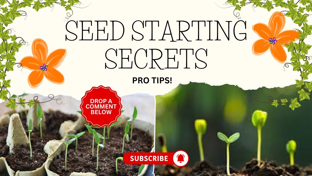 Top 7 Pro Tips for Successful Seed Starting Indoors 🌱