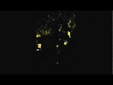 Dög Csut- Igazi Csutiii (Élő)