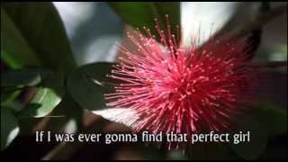 Angel of Mine the Icarus Account Lyrics