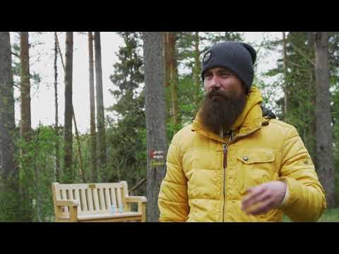 What makes a mentoring session good - Arttu Lipsonen