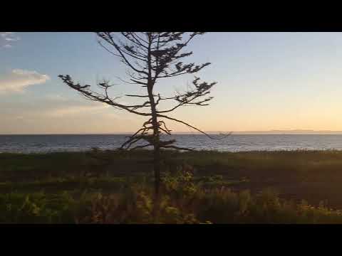 Sakhalin railway east line, Korsakov train