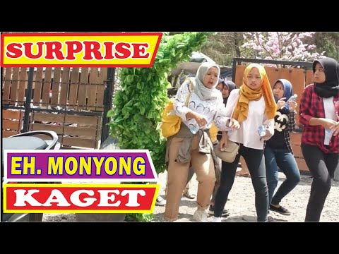hilarious-sibajag-green-canyon-bushman-prank-prank-manusia-pohon
