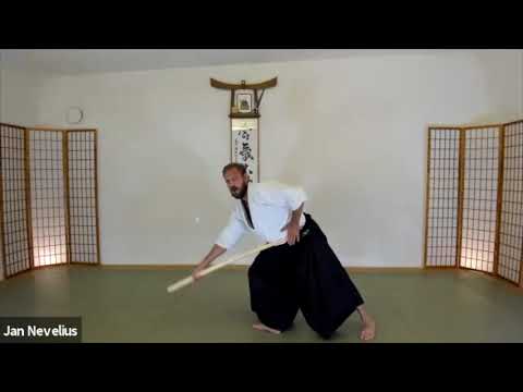 Distancing Bokken Seminar with Mats Ahlin Sensei Seminar Aug 15