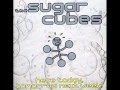 The Sugarcubes - Dark Disco