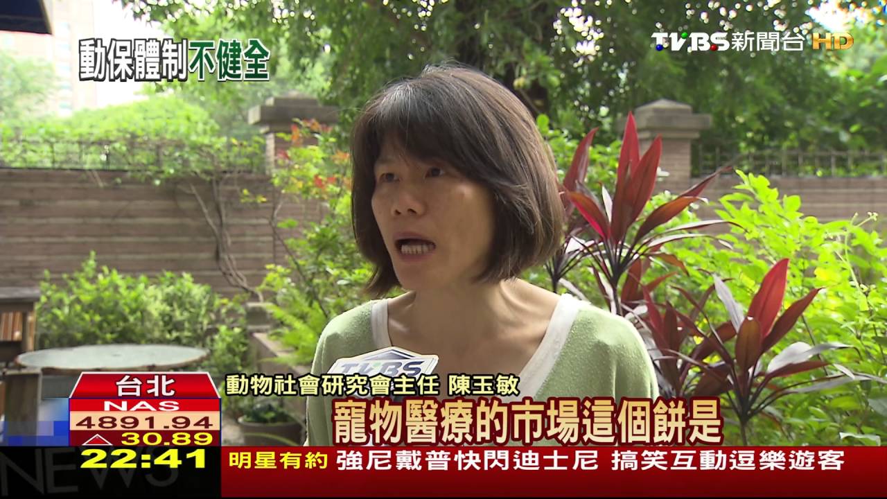 獸醫和動物數失衡 1名醫生照顧4千隻動物