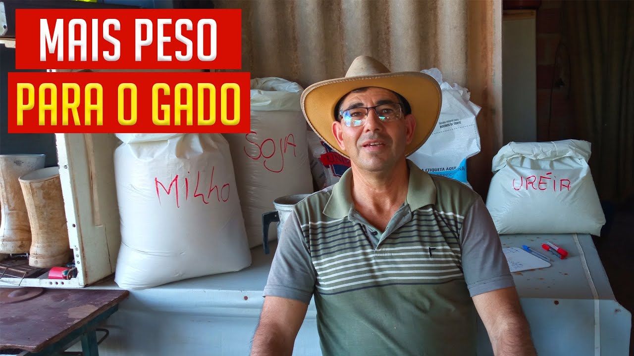 Como fazer SAL PROTEÍNADO 60% para o BRS CAPIAÇU?!