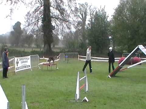 Fever - MESSEI - 1er Degré - 08 05 2012