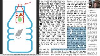 דף יומי מסכת חולין דף כה Daf yomi Masechet Chulin page 25  ע"י יוני גוטמן (שיעורי הדף היומי ב-20 דקות – מועבר ע"י ר' יוני גוטמן – לעילוי נשמת אביו ר' אלימלך צבי (צביקה) גוטמן ז"ל) - התמונה מוצגת ישירות מתוך אתר האינטרנט יוטיוב. זכויות היוצרים בתמונה שייכות ליוצרה. קישור קרדיט למקור התוכן נמצא בתוך דף הסרטון