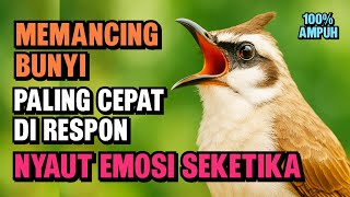 Download lagu Pancingan Trucukan PALING AMPUH ! Burung Langsung Ngalas | & Nyaut Gacor mp3