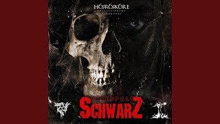 Schwarz (feat. Kaisa)