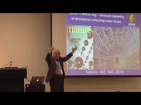 IBMM-iEESEP2018 Plenary Talk by Prof Lei Jiang