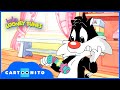 Baby Looney Tunes Cereal Hiding Cartoonito UK