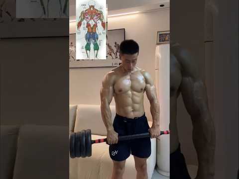 Barbell Row Workout Q #gymrat #gym #fitness #shorts