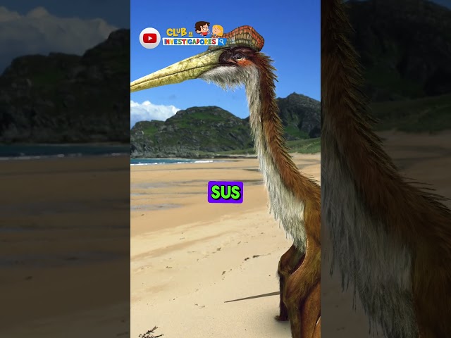 Vídeo relacionado con Mujer Haz un poco de dinosaurio rugiente con un concierto de guitarra Camiseta Cuello V