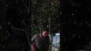 Download lagu Nasibku, rhoma irama, stf berkelana mp3