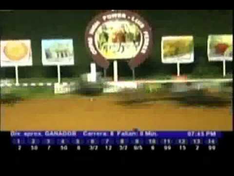 Resumen Viernes, 02 de Diciembre de 2011 - Santa Rita