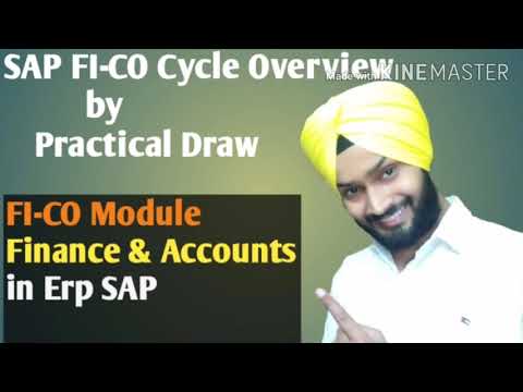 SAP FICO Overview | FICO CYCLE | FICO LIFECYCLE | FICO  PROCESS