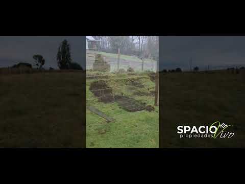 Se vende parcela de 5.000 m² con acceso a laguna – Collico, Río Bueno, Región de Los Ríos