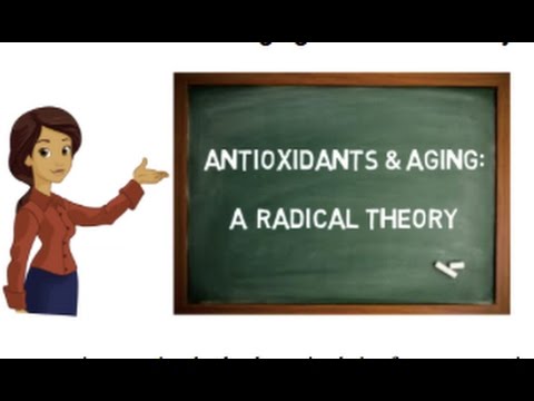 Antioxidants and aging: A radical theory