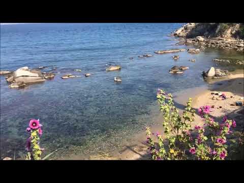 Erica Patricia Malpica Hurtado: Playa La Fosca   Palamós Costa Brava