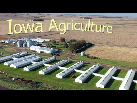 , title : 'How Iowa Farmers Make $26.4 Billion A Year From 85300 Farms - American Farming'