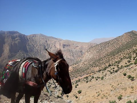 Journey into the Secret High Atlas — M'Goun Geopark at Zaouiat Ahansal