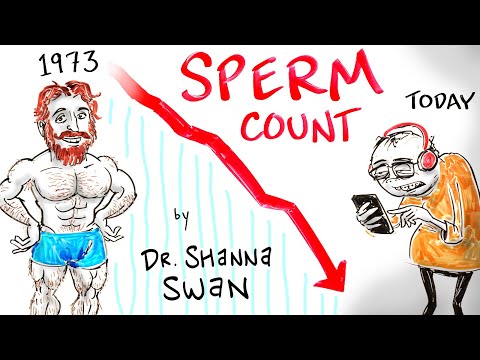 Why Has Male Sperm Count Plummeted Over The Past Century?