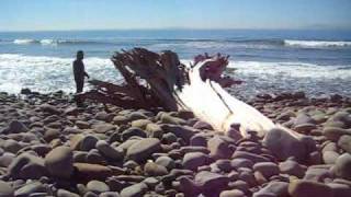 Tall Tales and the Silver Lining - A Little Hope for Everyone