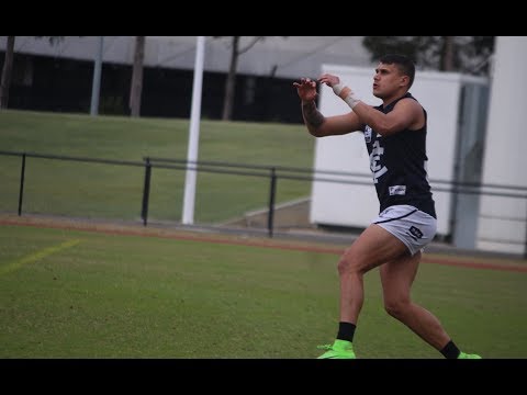 Round 12 VFL: Northern Blues highlights vs. Collingwood
