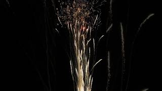 Download lagu Super Howling Wolf #fireworkscake #airdefense #vuurwerk #feuerwerk mp3 Download lagu Super Howling Wolf #fireworkscake #airdefense #vuurwerk #feuerwerk mp3