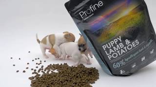 Profine Puppy Lamb & Potatoes 15 kg