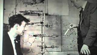 Watson vs. Crick The Double Helix