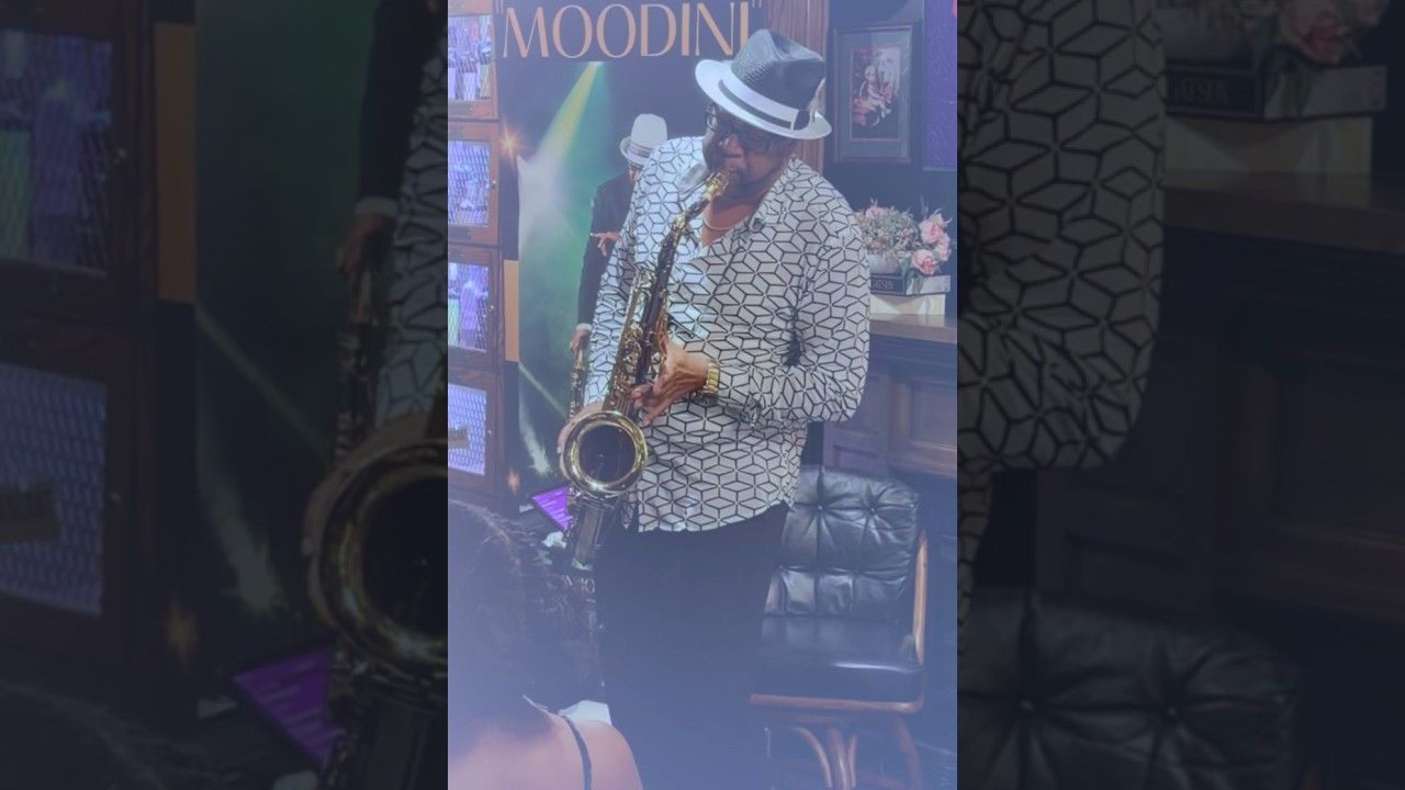 Promotional video thumbnail 1 for Moodini