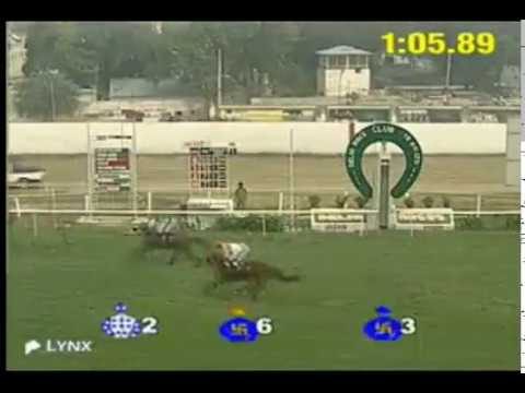 The Air Head Quarters Plate WINNER     RACE KA RAJA