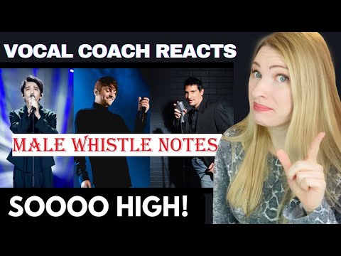 Vocal Coach Reacts: Male Singers Whistle Notes! Amazing Vocals including Dimash & Darren Espanto!
