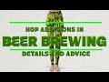 Hop Additions In Beer Brewing Details Advice