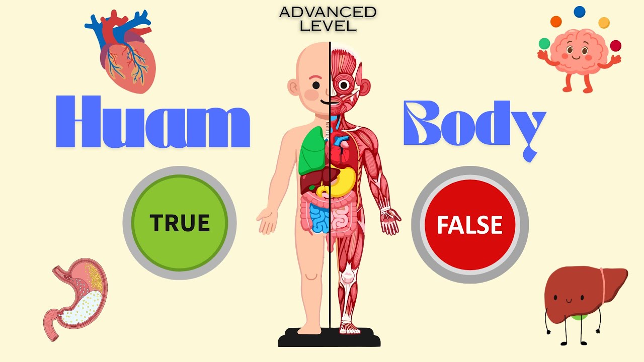 Human Body True or False Quiz for Kids | Advanced Science Fun (Ages 6–8)