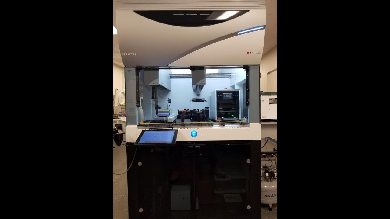 Video 1