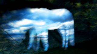 Blonde Redhead - Melody of certain three