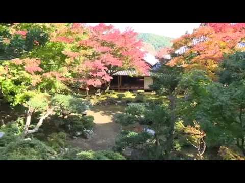 清瀧寺徳源院 Seiryuji Temple Tokugenin
