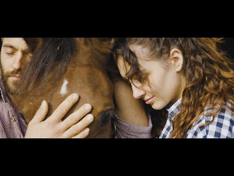 BORT ROSS - K tebi odpeljem svoje srce