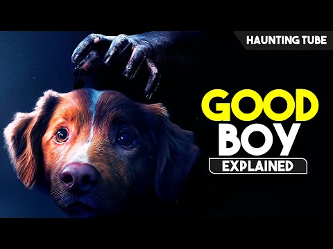 Most UNIQUE Horror Movie from Dog's Perspective - Good Boy Explained in Hindi | Haunting Tube