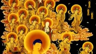 Buddha Pronounces the Sūtra of Amitāyus Buddha -Phật Thuyết Kinh Vô Lượng Thọ
